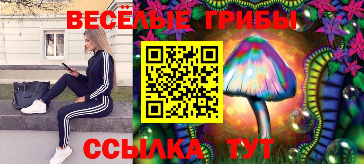 Галлюциногенные грибы мицелий Усинск